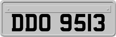 DDO9513