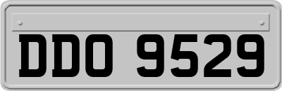 DDO9529