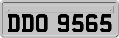 DDO9565