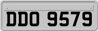 DDO9579
