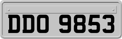 DDO9853