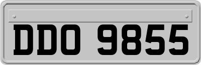 DDO9855