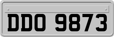 DDO9873