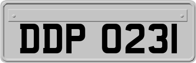 DDP0231