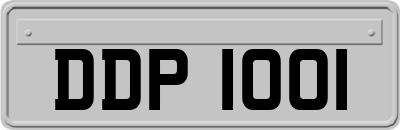 DDP1001