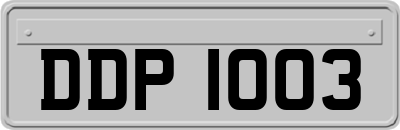 DDP1003