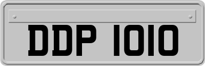 DDP1010