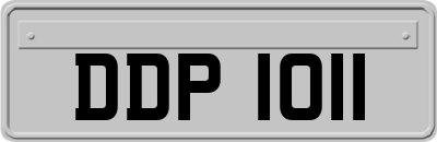DDP1011