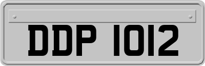 DDP1012