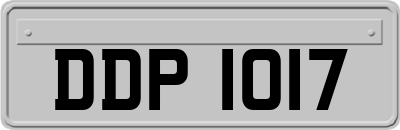 DDP1017