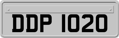 DDP1020