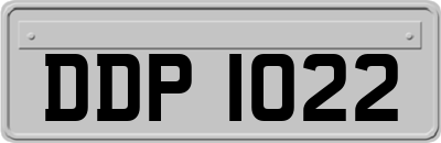 DDP1022