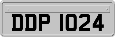 DDP1024