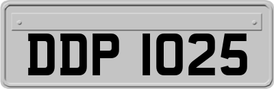 DDP1025