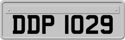 DDP1029
