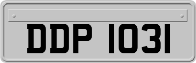 DDP1031