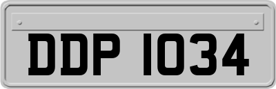 DDP1034