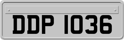 DDP1036
