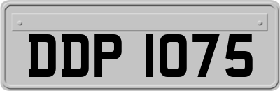 DDP1075