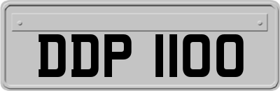 DDP1100