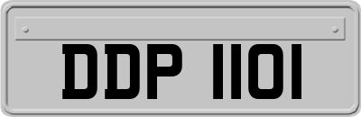 DDP1101