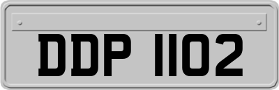 DDP1102