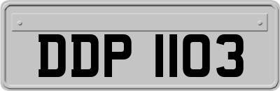 DDP1103