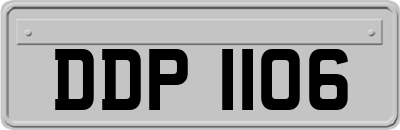 DDP1106