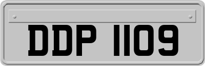 DDP1109