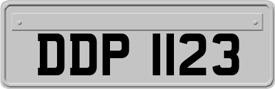 DDP1123