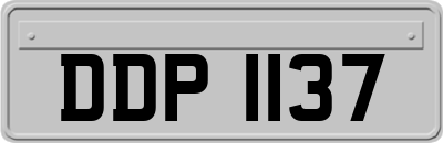 DDP1137