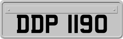 DDP1190