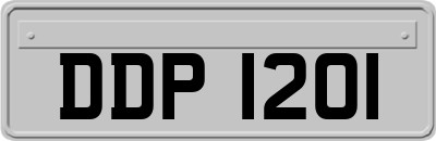 DDP1201