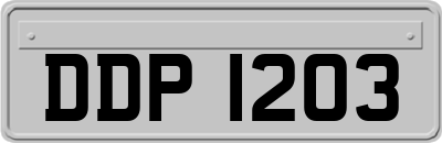 DDP1203