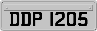 DDP1205
