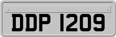 DDP1209