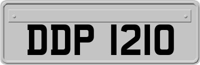 DDP1210