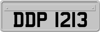 DDP1213
