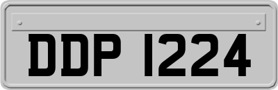 DDP1224
