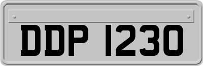 DDP1230