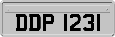 DDP1231