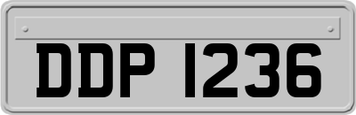 DDP1236