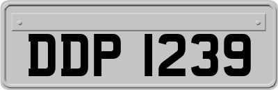 DDP1239