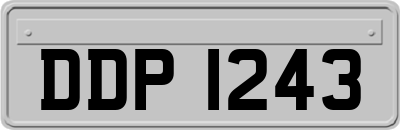 DDP1243