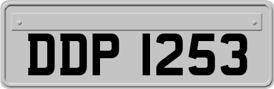DDP1253