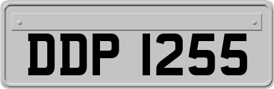 DDP1255