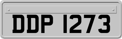 DDP1273