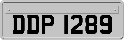 DDP1289