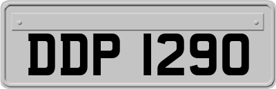 DDP1290