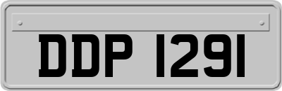DDP1291